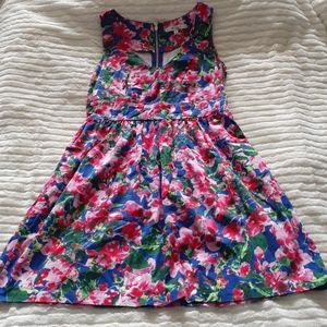 Milly Dress